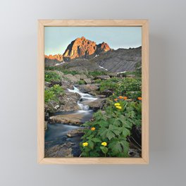 nature Framed Mini Art Print