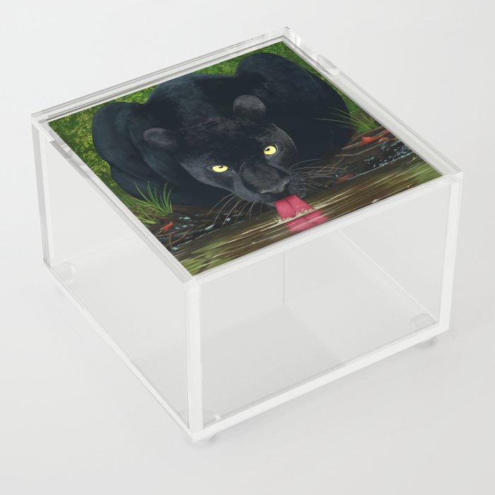 Black Panther Drinking Water Acrylic Box
