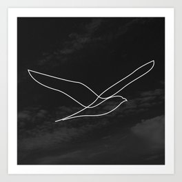 seagull - natural square Art Print