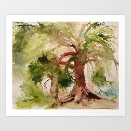 Lush trees Art Print