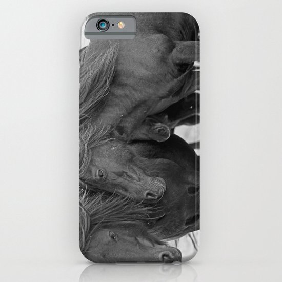 PONIES IN THE WIND iPhone & iPod Case
