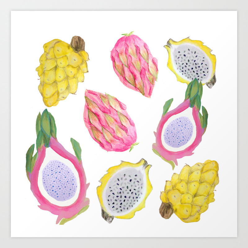 Exotic Fruit Dragon Fruit Watercolor Art Print By Magentarose Society6