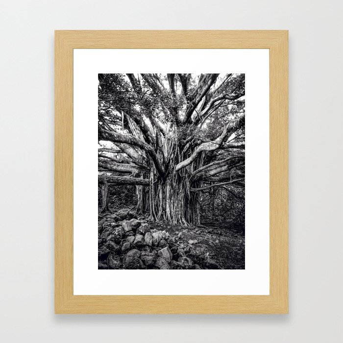 Branching out in Hawaii Framed Art Print