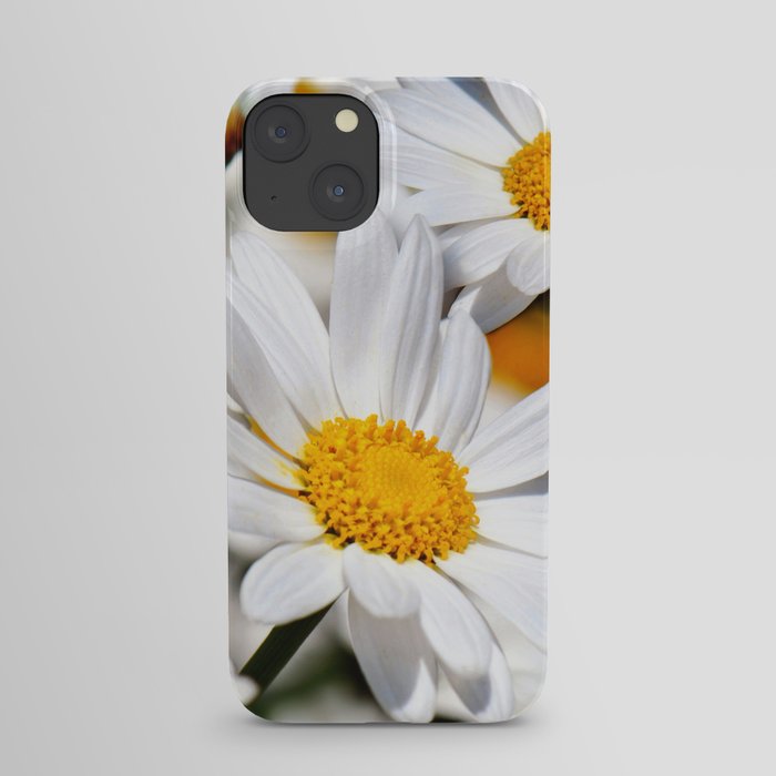 Daisy Flowers 0136 iPhone Case