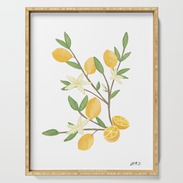 Meyer Lemons | Lemon tree | watercolor Serving Tray
