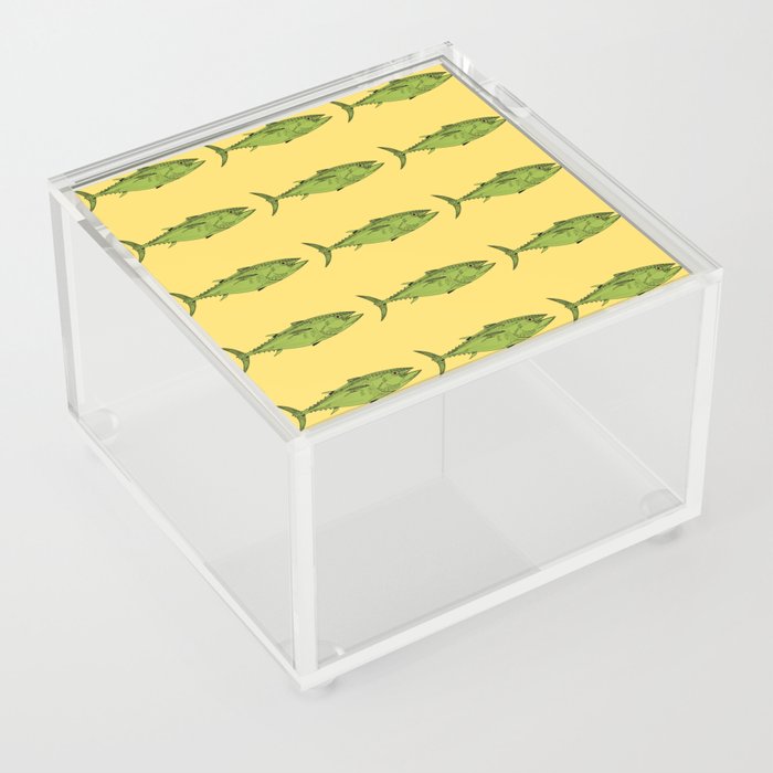 Green Fish Acrylic Box