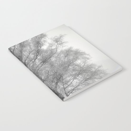 Birch in winter Notebook