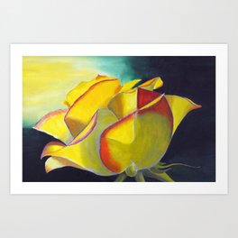 Solitary Rose Art Print