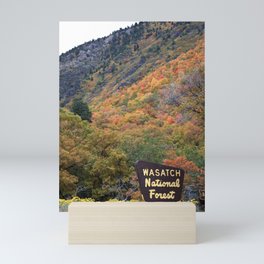 Big Cottonwood Canyon 1 Mini Art Print