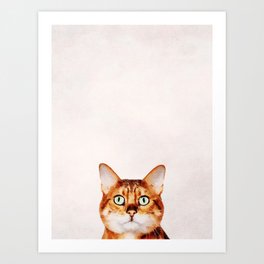 Cute Cat Stare Art Print