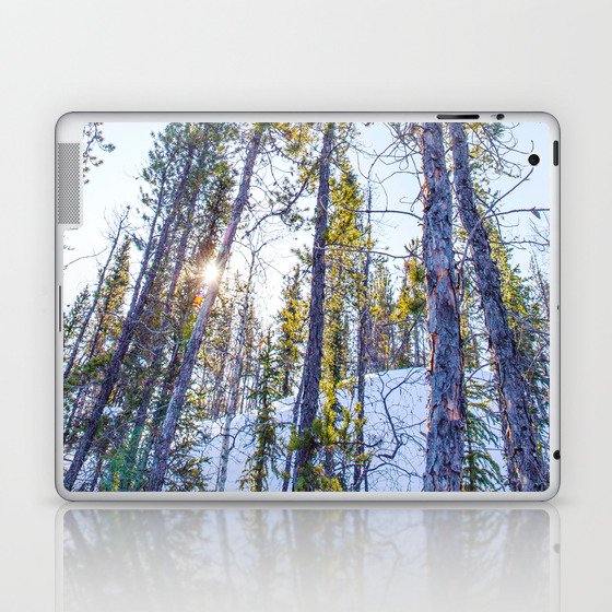 Sunset in the forest Laptop & iPad Skin