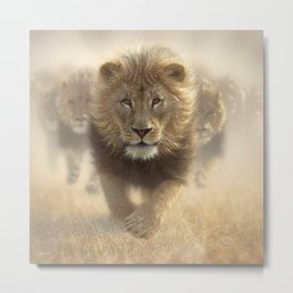 Lions Running - Eat My Dust Metal Print | Painting, Nature, Wild, Lions, Cat, Artwork, Males, Dust, Art, Young 