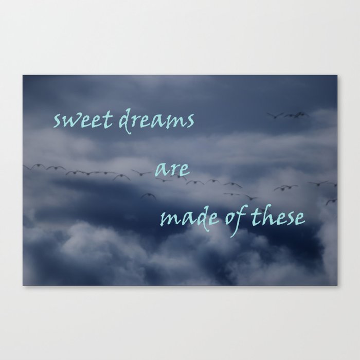 goose dreams Canvas Print