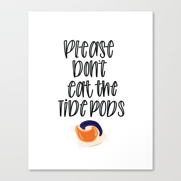 Laundry room humor Canvas Print