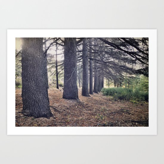 the forest of a thousand stories Art Print