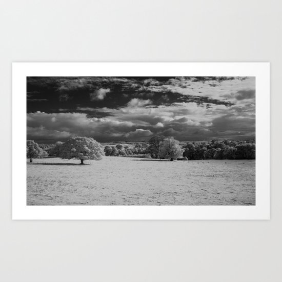 A different view. Art Print