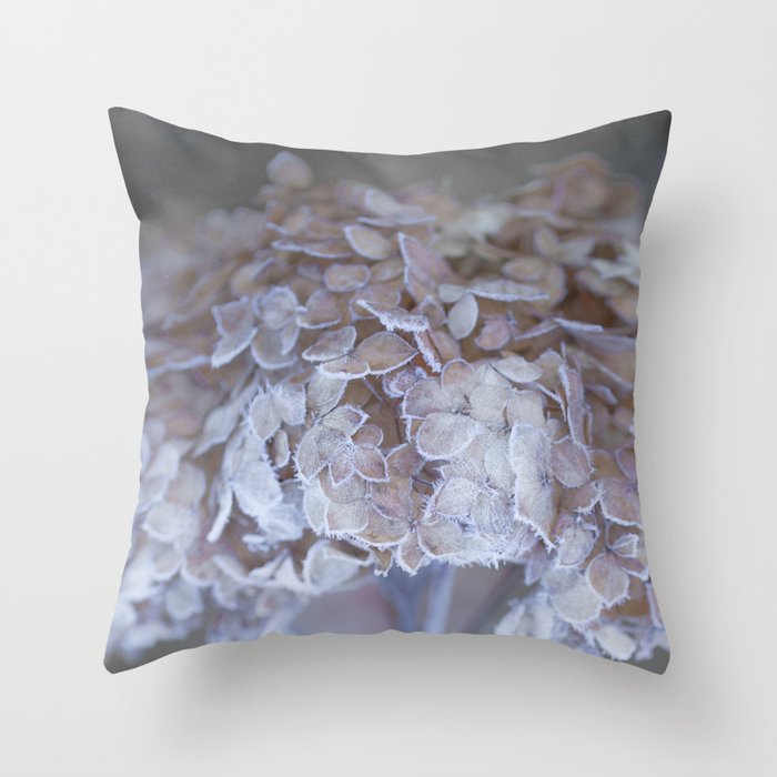 Frost Petals Of Hydrangea  Throw Pillow