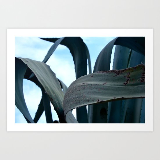Cactus Art Print