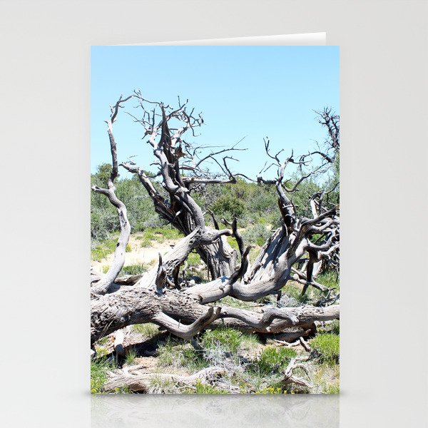 Gnarly Tree Stationery Cards