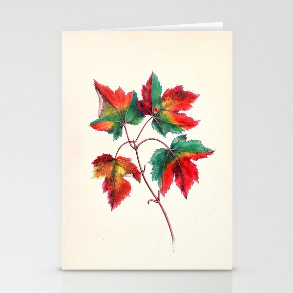 Red maple by Clarissa Munger Badger, 1859 (benefitting The Nature Conservancy) Stationery Cards