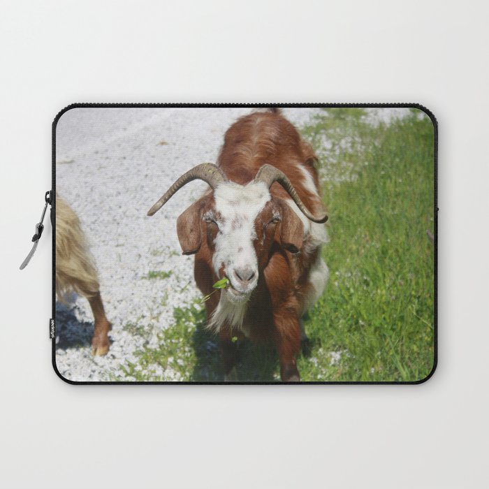 Whimsical Portrait of a Horned Goat Grazing Laptop Sleeve