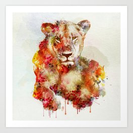 Resting Lioness Watercolor Painting Art Print
