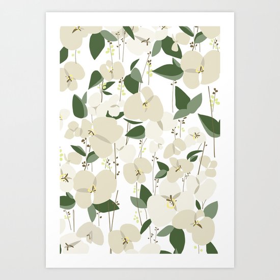 white orchid Art Print