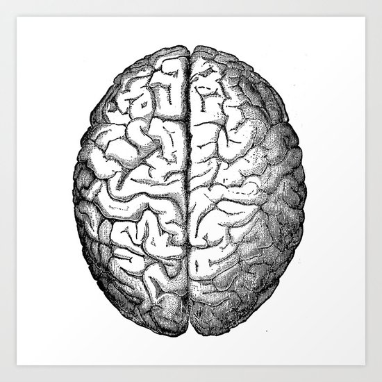 Brain Art Print