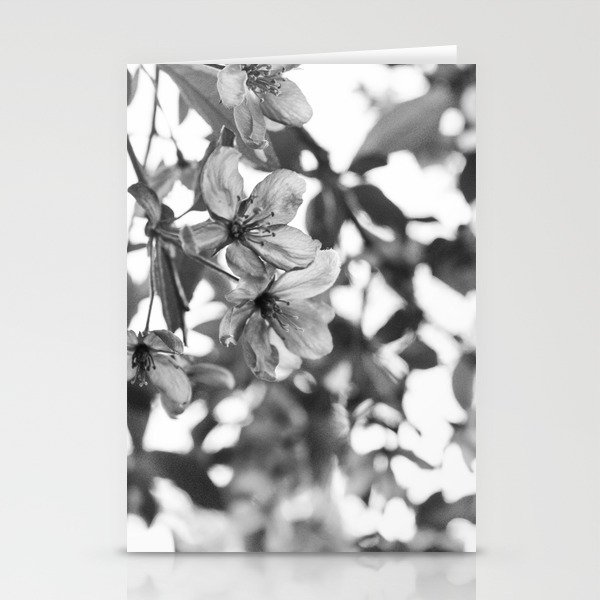 Nature's Glass Stationery Cards
