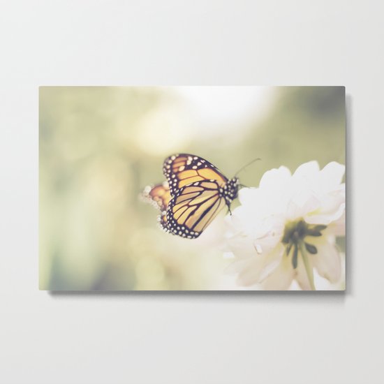 Love of a butterfly Metal Print
