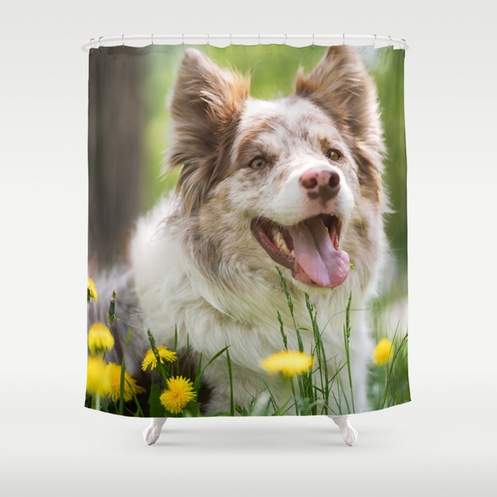 Dog shower curtains sale