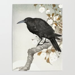 Crow sitting on a cherry  tree - Japanese vintage woodblock print art Poster