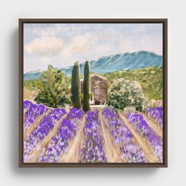 Field of lavender in Provence  Framed Canvas