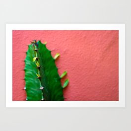 Have A Cactus Art Print