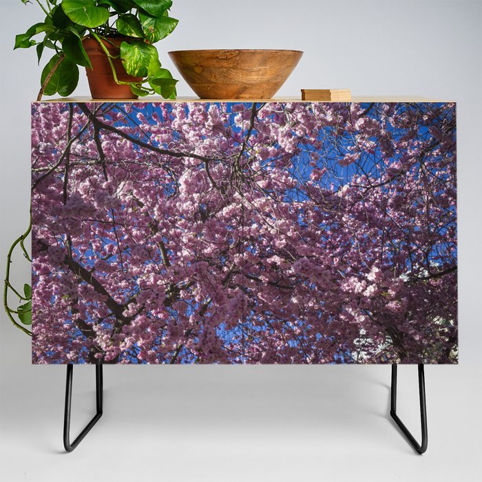 Cherry blossoms Credenza