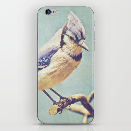 Virginia Bluejay iPhone & iPod Skin