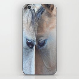 Eye of the Horse iPhone Skin