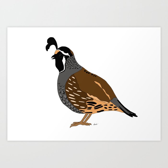 quail art print