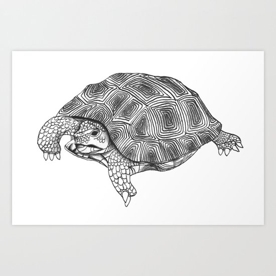 Little tortoise Art Print