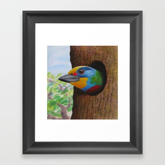 Beautiful Bird Framed Art Print