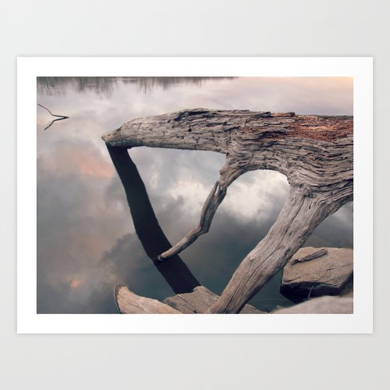 Suspended reflection Art Print