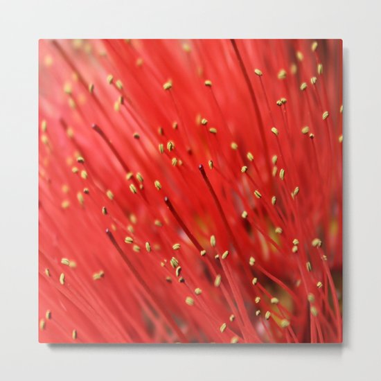 Red & Hairy Metal Print
