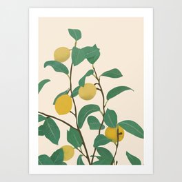 Lemon Art Print