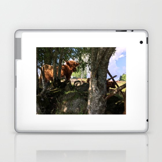 Fluffy Highland Cattle Cow 1183 Laptop & iPad Skin