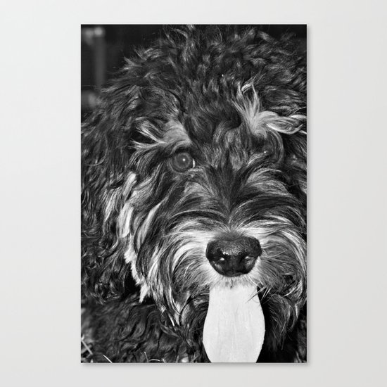 Scout... Canvas Print