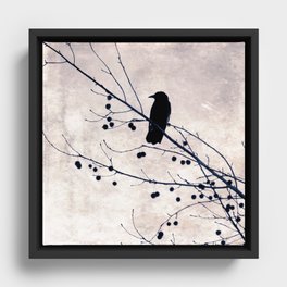 Crow Framed Canvas