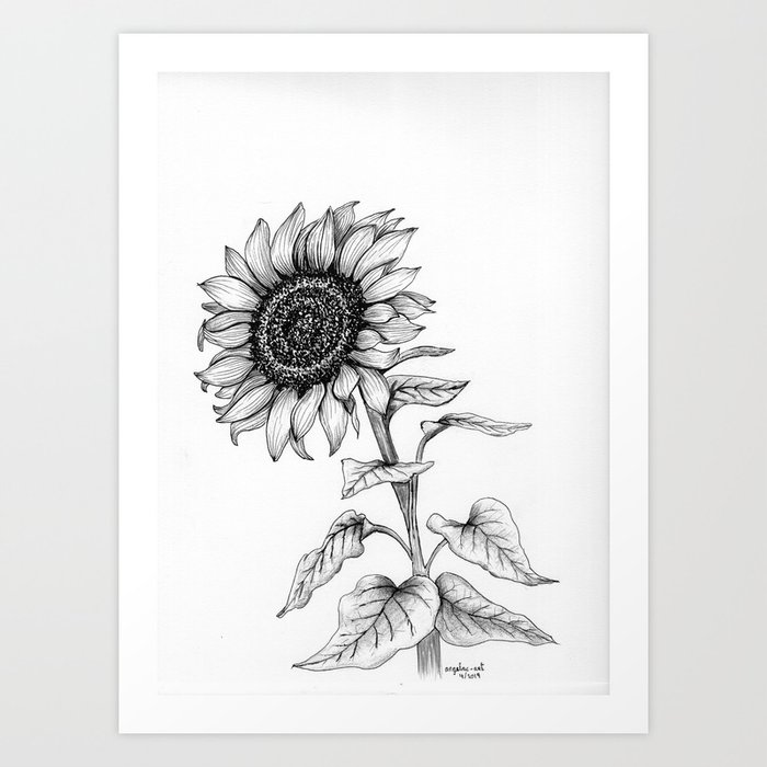 black and white plant art