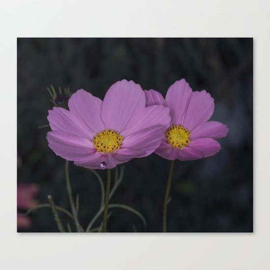 Cosmos water drop Canvas Print
