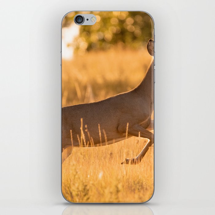 White Tailed Deer iPhone Skin