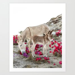 Baby Donkey and Mama Donkey in the Field of Flowers Art Print